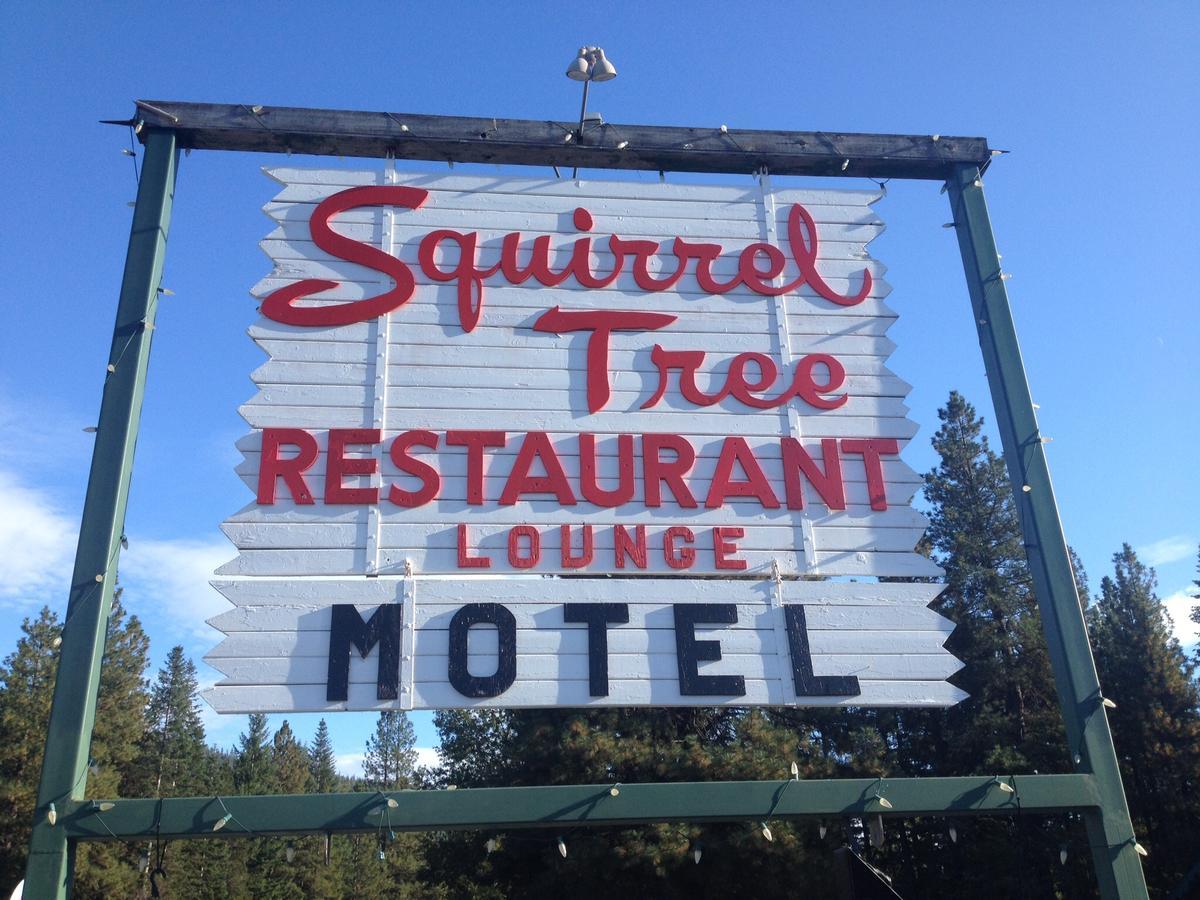 Squirrel Tree Resort Coles Corner 外观 照片